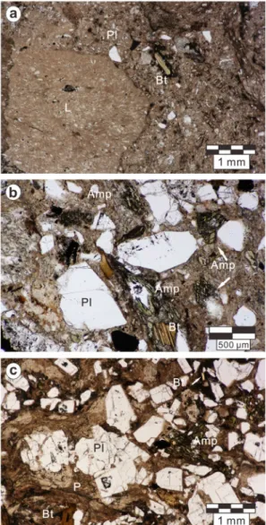 Fig. 11. Thin-section photomicrographs showing the  petrographic features of the representative lithofacies  in each units under open nicols