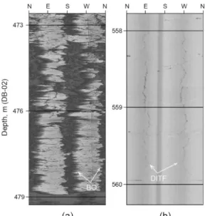 Fig. 6. Examples of unwrapped borehole images for the  wellbore wall failures, observed in borehole DB-02