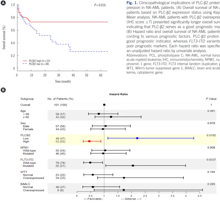 Fig. 1. Clinicopathological implications of PLC-β2 protein ex- ex-pression in NK-AML patients