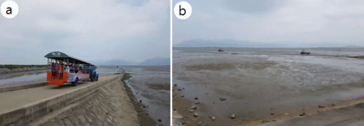 Fig. 16. Hajeon mud flat area. (a)~(b) View of Hajeon mud flat.