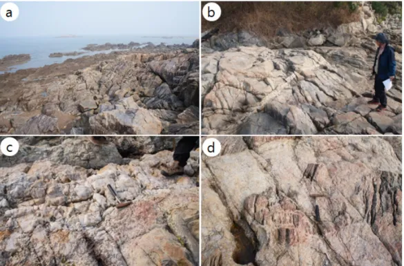 Fig. 4. Jeokbyeokgang area. (a) Peperite, (b) Columnar joint, (c) Convolute structure, (d) Marine pothole.