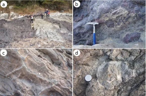 Fig. 9. Jikso falls area. (a) View of Jikso falls, (b) Columnar joint.
