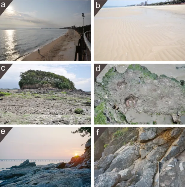 Fig. 8. Photos for representative geological heritages (Valuation: Class-II). (a) and (b) Daecheon beach, Boryeong-si
