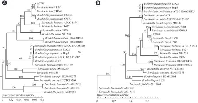 Fig. 1. Phylogenetic trees based on whole­genome sequencing and analysis. (A) Phylogenetic tree based on the gene content (pan­ge­