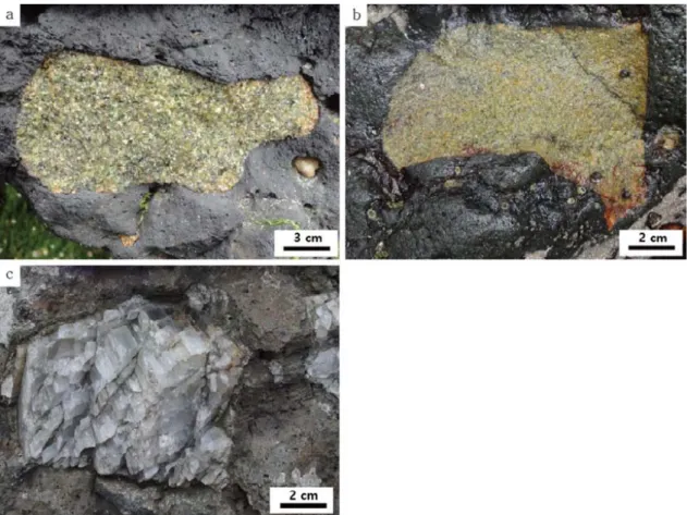 Fig. 2. The outcrop overview of representative peridotite xenoliths showing a (a) protogranular and (b) equigranular  texture appearance, respectively and (c) feldspar mega xenocrysts enclosed in the Jinchon basalt from Baegryeong  Island