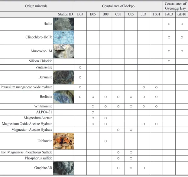 Table 1.  Result of assumption for the origin minerals related with the XRD analysis