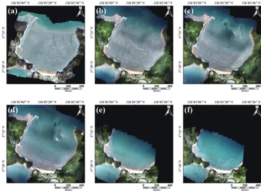 Fig. 8.  The mosaic images generated from (a) fixed-wing UAV, and (b-f) rotary-wing UAV