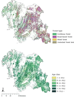 Fig. 4.  1:5,000 forest type map(top: forest type, bottom: age class).