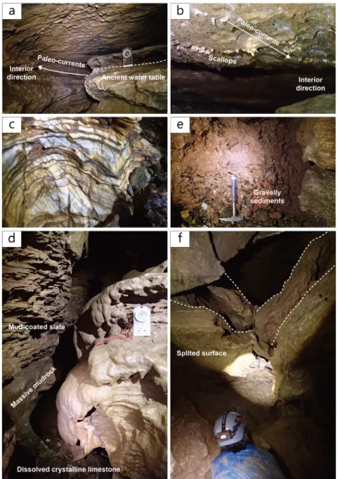 Fig. 5. Speleological observations at the middle section of the cave. a) Niche and notch indicating the water level in  the past