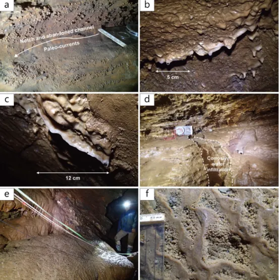 Fig. 7. Speleothems of the Baek-ah-san cave. a) Cave-coralloids on the wall surface showing notch structures