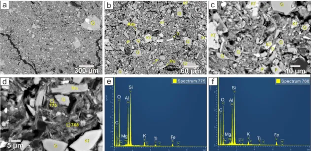 Fig. 8. SEM-BSE images of soil thin section (JS1) and EDS. (a) Low magnification showing sandy quartz grains
