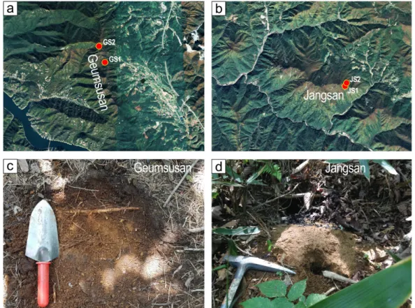Fig. 1. Location of sample sites from the mountain ridges of quartzite. (a) Geumsusan quartzite