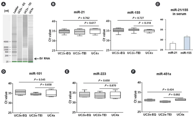 Fig. 3. Analysis of miRNA cargo in EV. (A) The quality of EV RNA was evaluated using an Agilent2100 bioanalyzer with an RNA 6000 Pico  kit