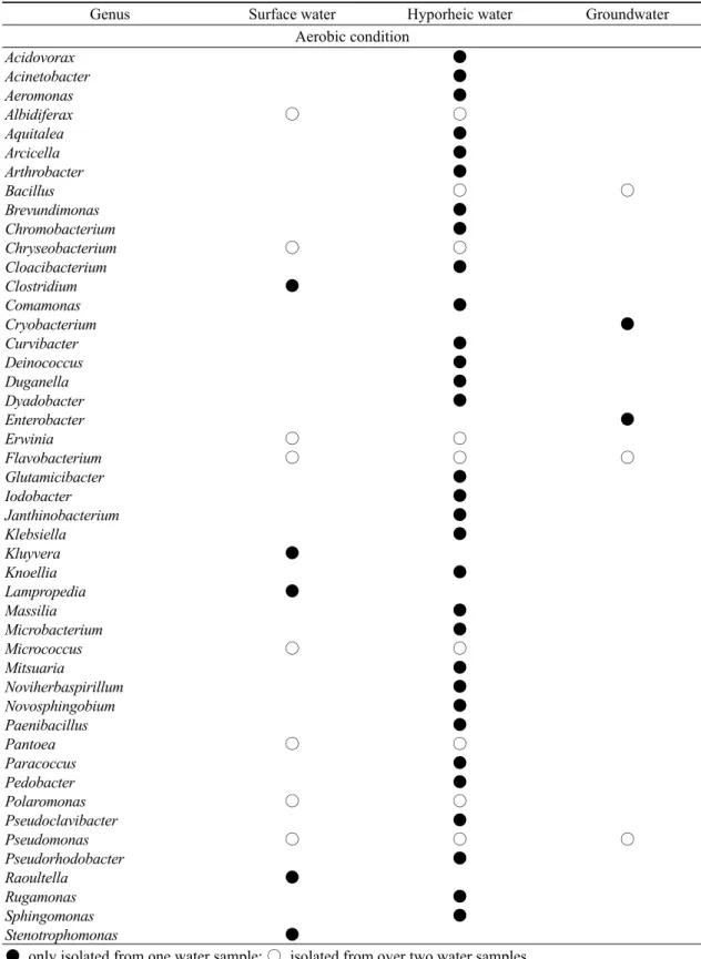 Table 3. Identification of isolation bacteria at aerobic condition from surface water, hyporheic water and groundwater.
