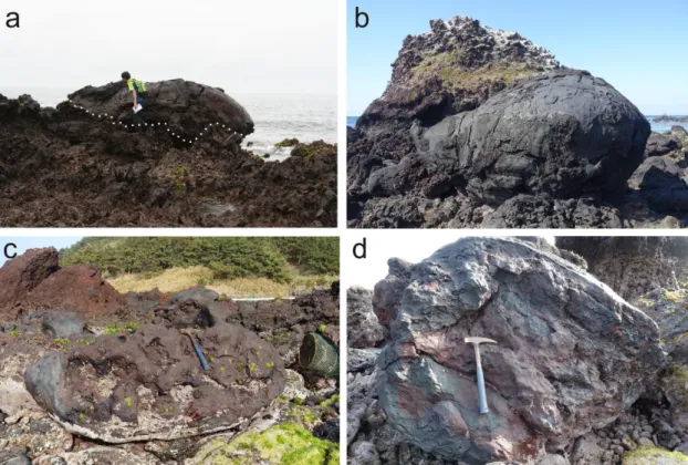 Fig. 4. Volcanic bombs at Biyando. (a) A huge volcanic bomb, 7 meters in diameter and 4 meters in width