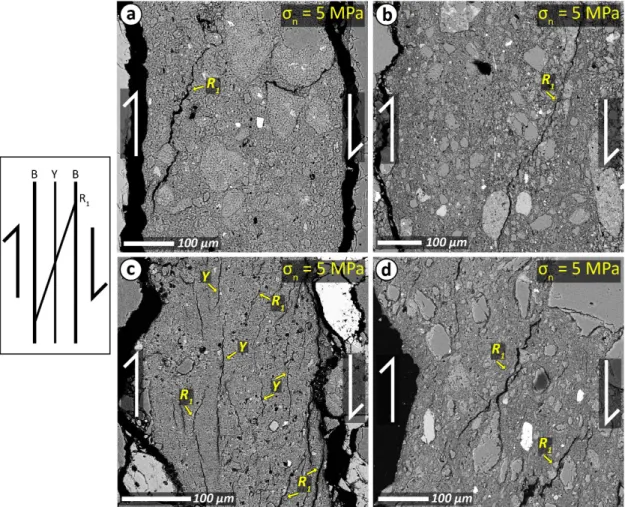 Fig. 9. BSE photograph of the samples subjected to σ n =5 MPa and deformed up to a shear displacement of 20-25  mm