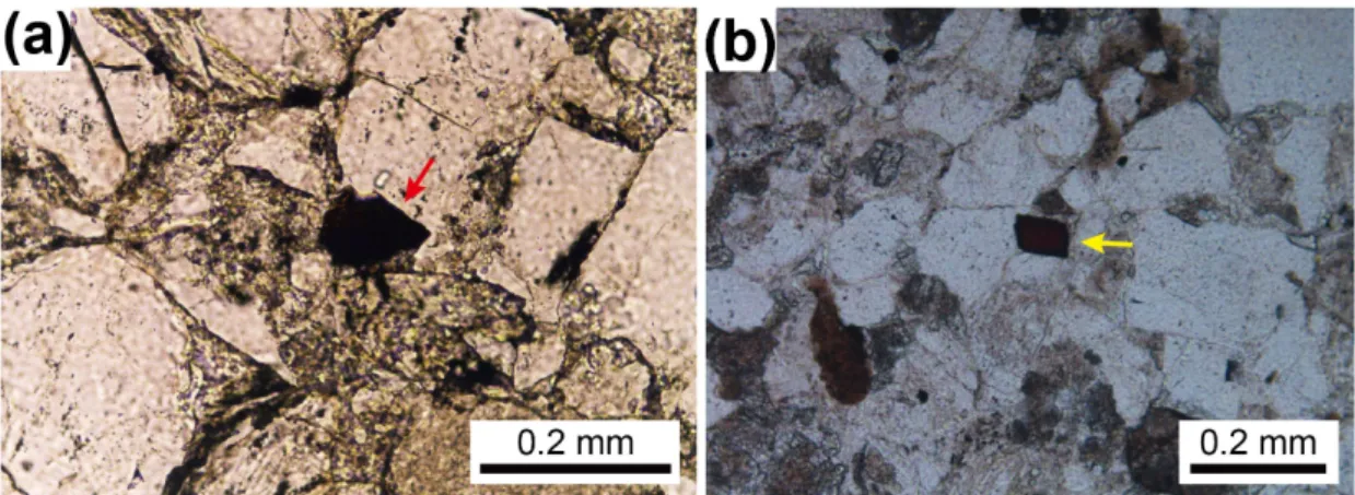 Fig. 3. UCC- and active margin sediment-normalized Sc, V, Cr, and Ni in Sindong Group sandstones (a, b) and  mudrocks (c, d)