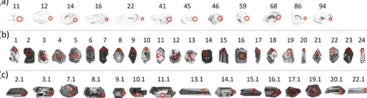 Fig. 2. Scanning electron microscope cathodoluminescence (SEM-CL) images of the sectioned zircon grains used  in final age calculation