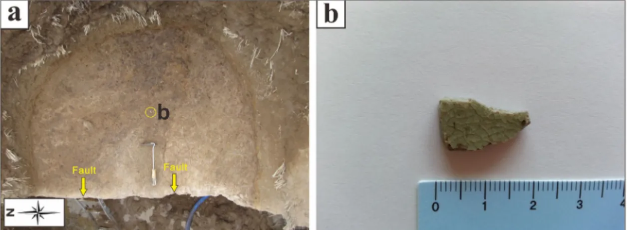 Fig. 9. Surface trace of the fault and ceramic fragment within the displaced layer. (a) Plan view of porcelain and  two fault line