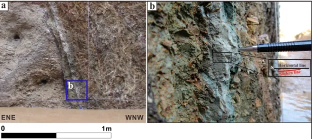 Fig. 6. (a) Close view of T1-N. Black, dark green, green fault gouges are developed along the fault