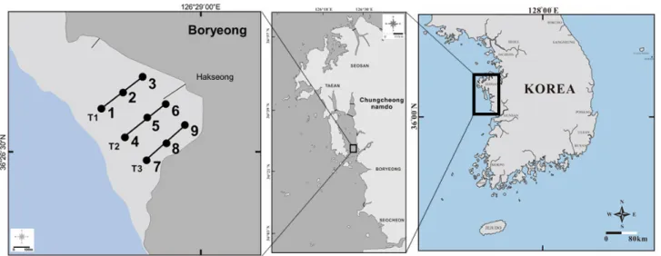 Fig. 1. Location of sampling stations at the study site in an intertidal mudflat in Hakseong-ri, Boryeong, western coast of Korea.