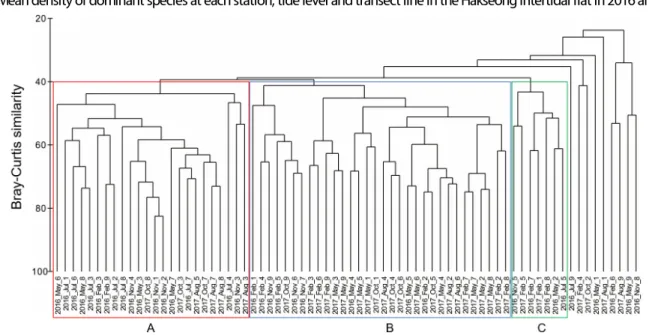 Fig. 5. Dendrogram of cluster analysis comparing the species composition of macrobenthic communities in the Hakseong  intertidal flat in 2016 and 2017.