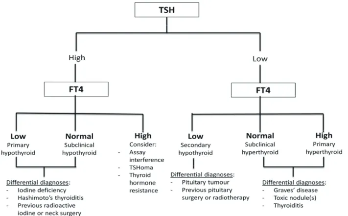 Fig. 1. Algorithm for the interpretation of thyroid function test results. 