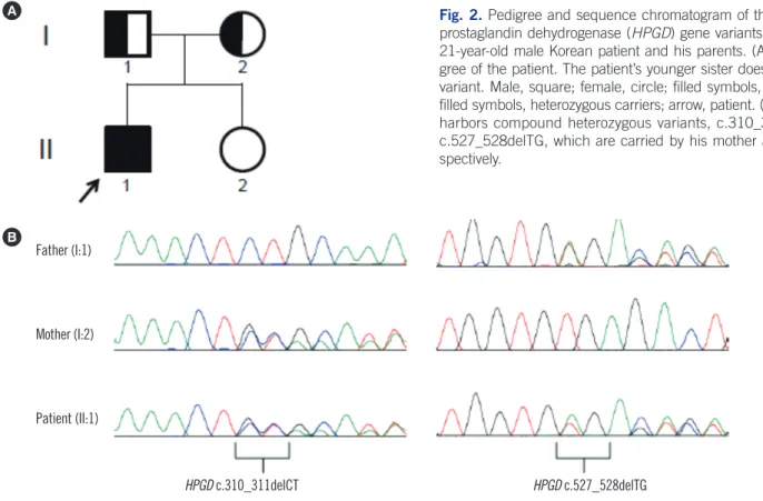 Fig. 2. Pedigree and sequence chromatogram of the 15-hydroxyprostaglandin dehydrogenase 146 