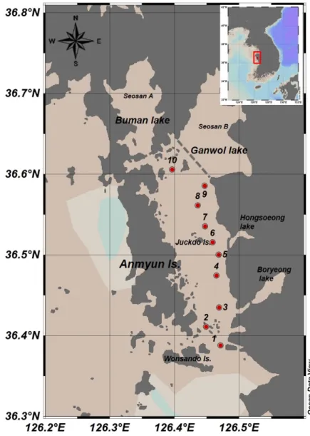 Fig. 1. Map showing the study area and sampling sites.