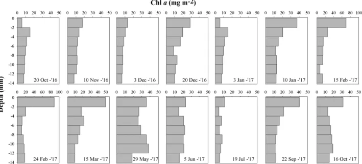 Fig. 5. Monthly variation of vertical chlorophyll  a contents profile from Oct. 2016 to Oct