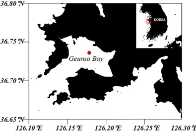 Fig. 1. Location of tidal flat at the Geunso Bay and sampling site (red point).