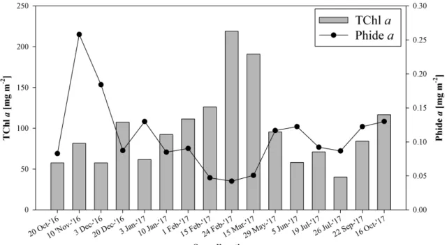 Fig. 2. Monthly variation of the total chlorophyll a and phaeophorbide  a concentrations from Oct