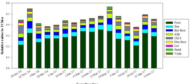 Fig. 3. Monthly variation of marker pigments concentrations from Oct. 2016 to Oct. 2017 in Geunso Bay tidal flat.