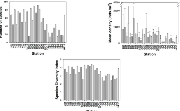 Fig. 3. Number of species, density, and species diversity index of benthic polychaete at each sampling site.