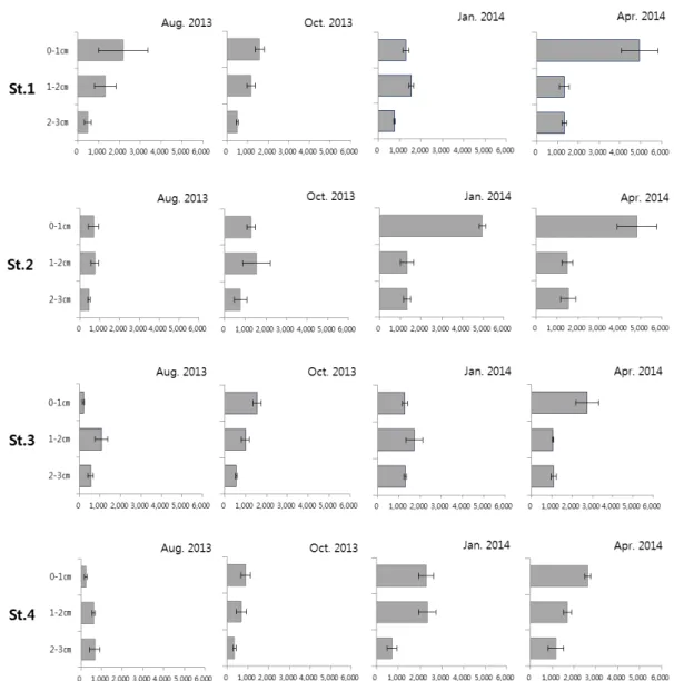 Fig. 7. Vertical distribution of meiobenthic community in the study area. 수직분포의 계절변동 값은 St