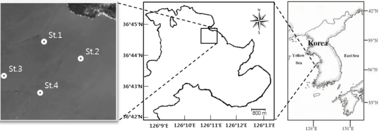 Fig. 1. Map of the sampling stations at this study.