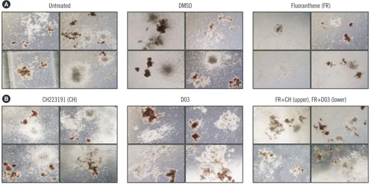 Fig. 2. Effect of the AhR antagonists on HSC differentiation using a colony forming unit (CFU) assay for PBSC