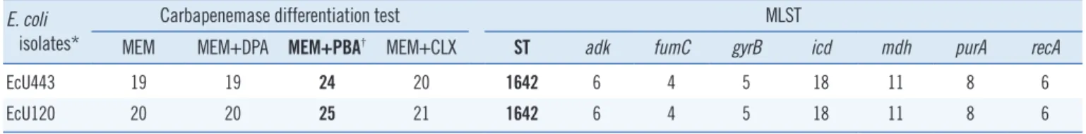 Table 2.  Results of carbapenemase differentiation tests and sequence types of Escherichia coli isolates E
