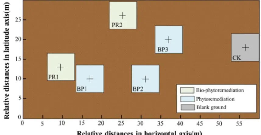 Fig. 1. Sampling locations with different remedial technologies in contaminated area.