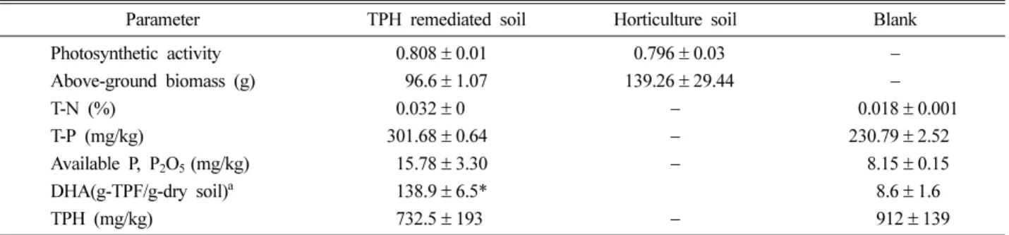 Fig. 3. Comparison of root development of rye after 38 days of cultivation in TPH remediated soil and horticulture soil.