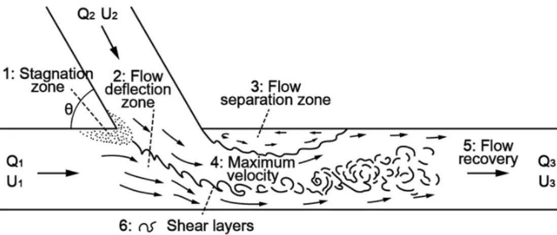 Fig. 1. Typical flow regimes and their characteristics in river confluence (Best, 1987)