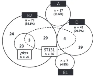 Table 1. Primary source of bacteremia classified according to phylogenetic group