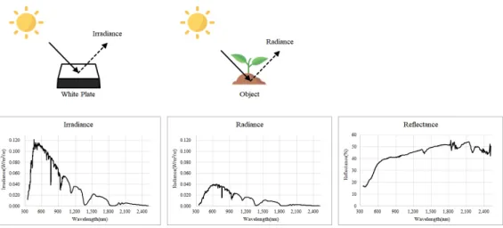 Fig. 3. Irradiance, Radiance, Reflectance