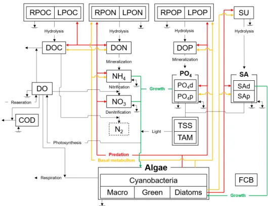 Fig. 2. The water quality interactions of the EFDC model (Kim et al., 2017)