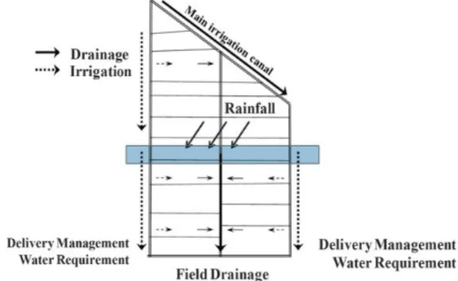 Fig. 6. Schematic diagram of water budget analysis at paddy fields and the associated network for water circulation model