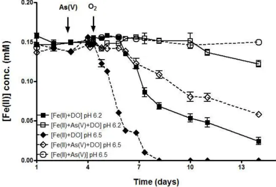 Figure 1. Homogeneous Fe(II) oxidation with As(V) by dissolved oxygen in the absence (Fe(II) only) and presence[Fe(II)-As(V)] of arsenic