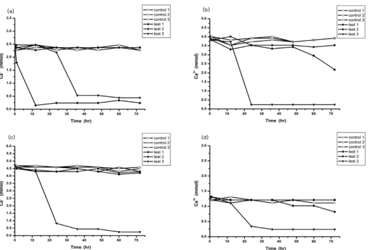 Fig.  8.  Temporal  variation  of  aqueous  Ca 2+   in  the  bottle  test  employing  different  types  of  minerals  along  with  their  concentrations  ((a)  25  mM  CaCl 2 ,  (b)  50  mM  CaCl 2 ,  (c)  75  mM  CaCl 2 ,  (d)  25  mM  CaCl 2 -MgCl 2 )