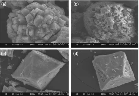 Fig.  12.  SEM  image  after  biomineralization  ((a)  with  Bacillus  pasteurii   (25  mM  CaCl 2 ),  (b)  with  indigenous  microorganism  in  the  soli- soli-dified  sludge  cover  soil  (25  mM  CaCl 2 ),  (c)  with  Bacillus  pasteurii   (25  mM  MgCl