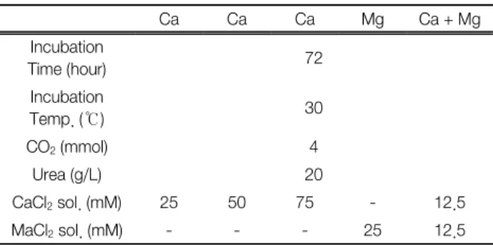 Fig.  1.  Schematics  of  bottle  test  for  biomineralization.