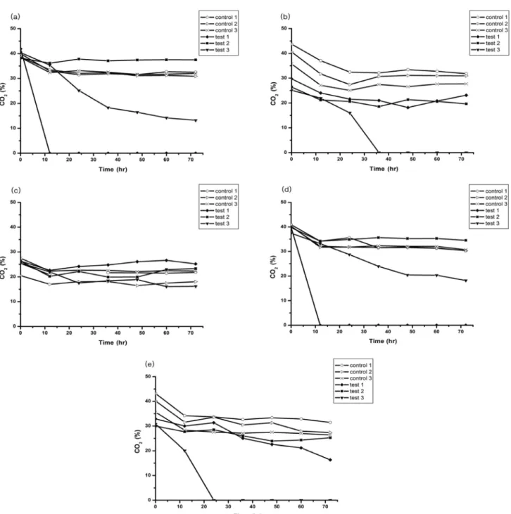 Fig.  6.  Temporal  variation  of  CO 2   gas  from  the  head  space  in  the  bottle  test  employing  different  types  of  minerals  along  with  their  concentrations  ((a)  25  mM  CaCl 2 ,  (b)  50  mM  CaCl 2 ,  (c)  75  mM  CaCl 2 ,  (d)  25  mM  
